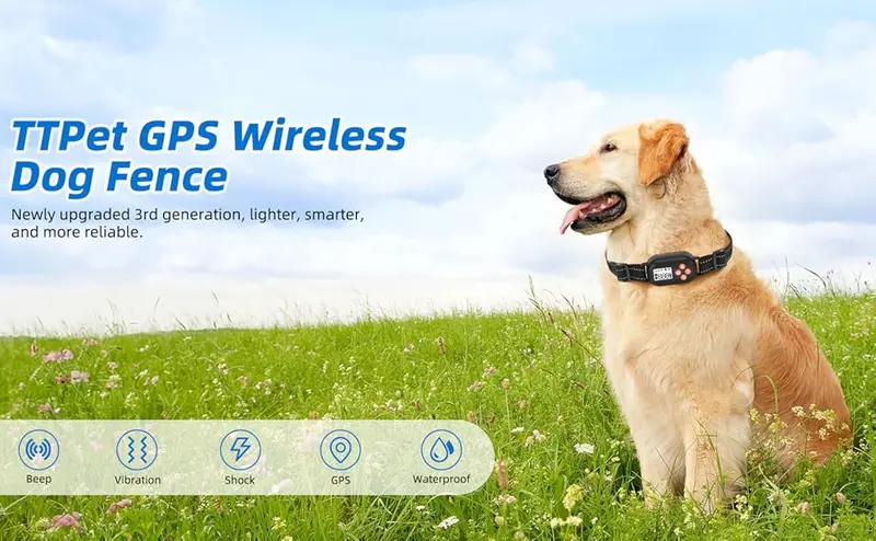 GPS Wireless Dog Fence