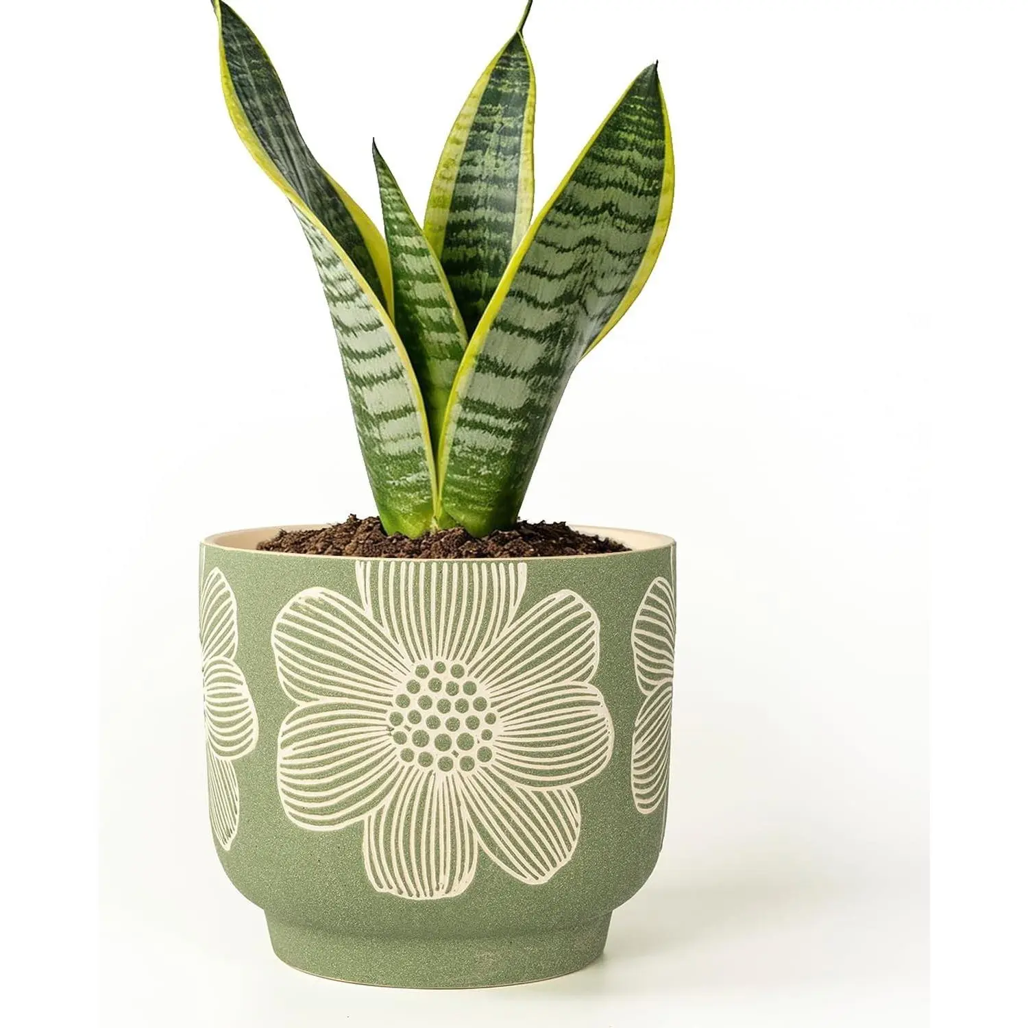 Modern Green Floral