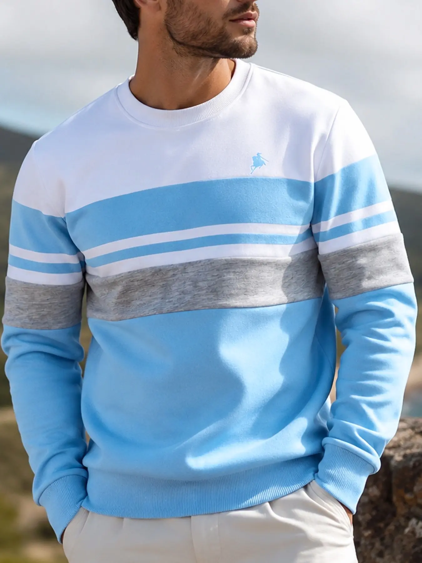 Men's Round Neck Sweatshirt, Colorblock Striped Patchwork Long Sleeve Pullover, Small Horse Embroidery Casual Daily Sports Shirt