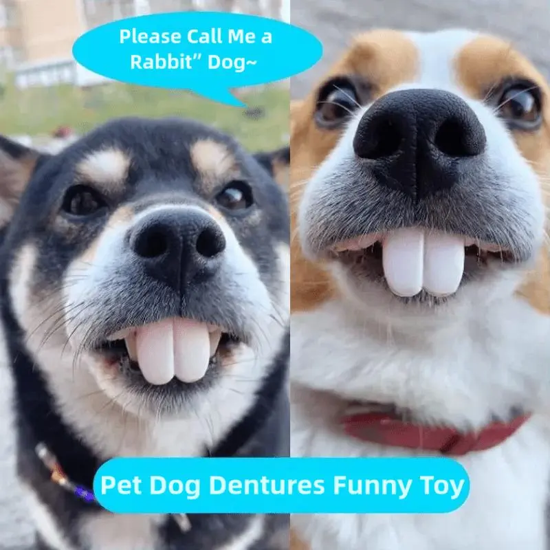 1pc Funny Dog Dentures - Durable Pet Dentures for All Dog Breeds -  Suitable for Parties, Photo Props -  Fun Gift for Dog Owners