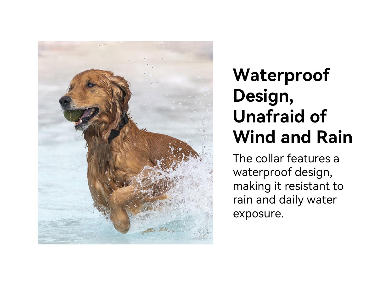 GPS Tracker for Car, Cat GPS Tracker, Mini Tracker, Waterproof Pet Tracker for Cats, Cat GPS Tracker Collar with Safety Elastic Buckle, Works with Any Collar, Compatible with Apple Find My App (Only iOS), Tracking Devices