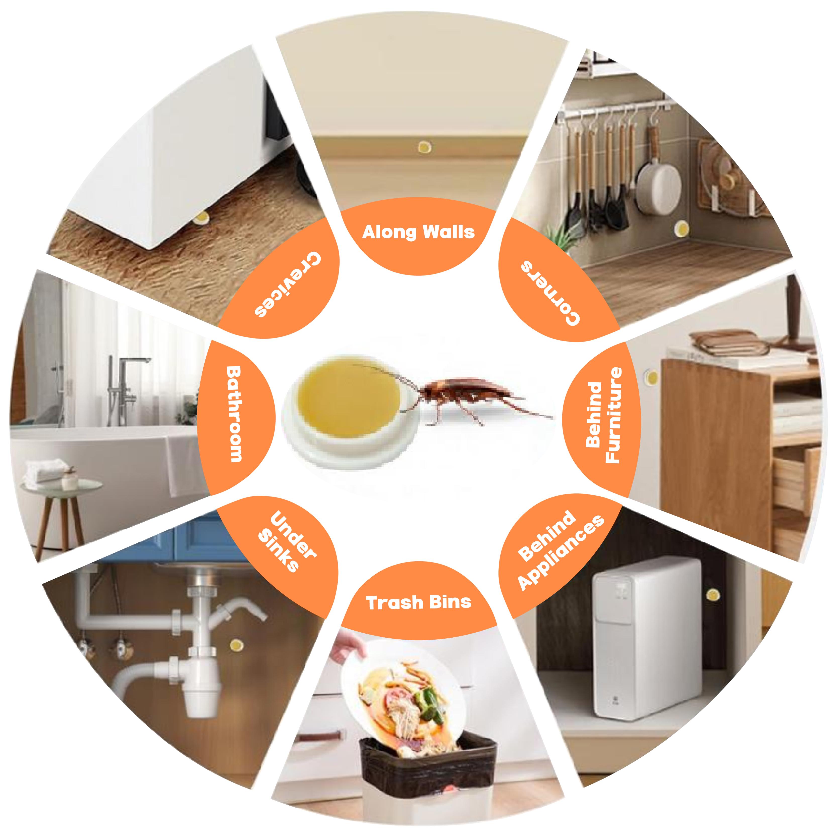 LENDOUYE: Indoor Pest Killing Products, Repellents, Indoor Traps, Insecticides, Bait Stations ZY Roach Control Solution