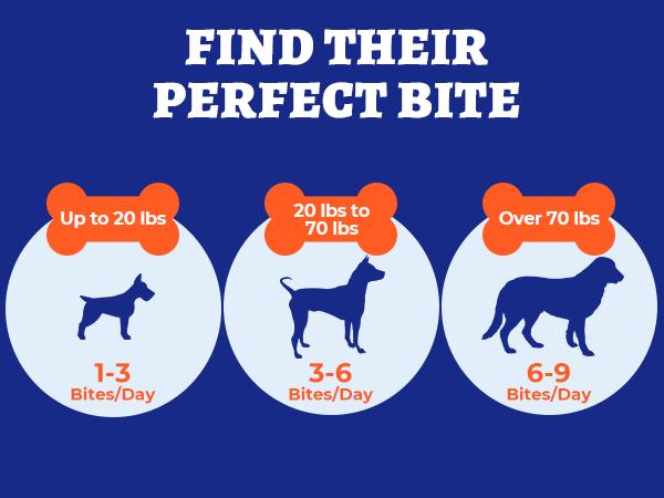 Wellix 260-Count Dog Hip and Joint Chews, Joint Supplement with Glucosamine Chondroitin MSM, Hip & Joint Pain Relief for All Breeds