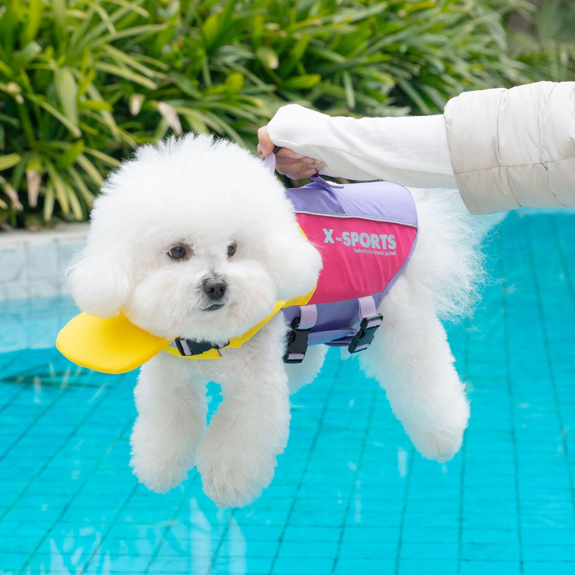 Dog clothing, animal clothing, big dog swimming suit, big dog life jacket, small and large pets can wear small animal swimming suit, handheld trial, big dog clothing, small dog diving suit, life jacket, British style clothing, Outdoor