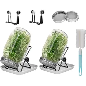Lulonpon 2pcs Sprouts Growing Jar Kit, Wide Mouth Quart Mason Jars with Stainless Steel Screen Sprout Lids, 86mm,1000ml,Stand,Tray and Canning Brush,Seed Sprouter Set for Broccoli, Alfalfa, Mung Bean