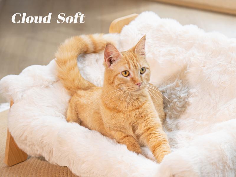 Elevated Pet Couch Bed, Wooden Cat and Small Dog Sofa, Removable Washable Fluffy Cover Raised, Kitty Lounge Chair Suitable for Puppy for Indoor Elevated Pet Couch Bed, Wooden Cat and Small Dog Sofa, Removable Washable Fluffy Cover Raised, Kitty Lounge Chair Suitable for Puppy for Indoor