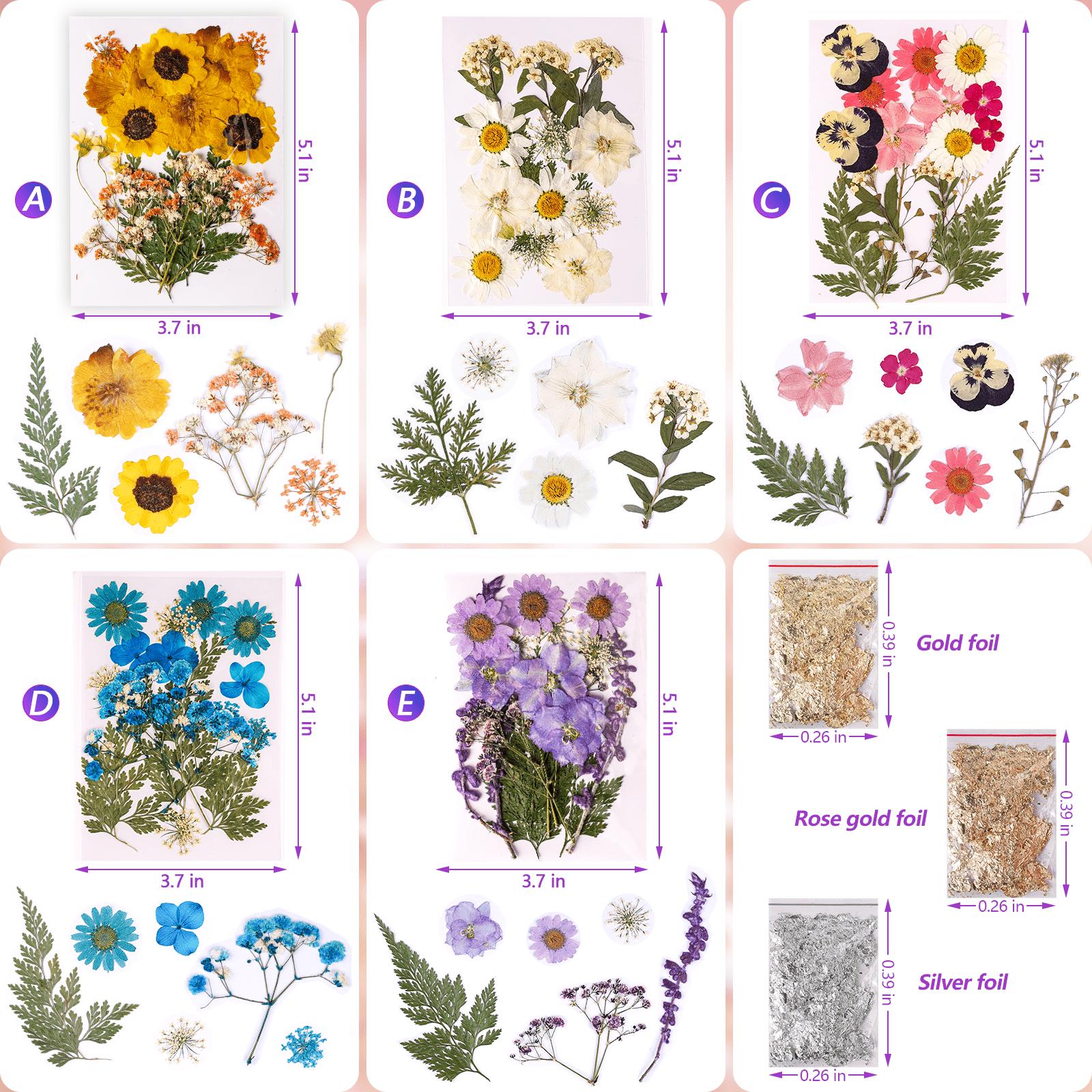 153 PCS Jewelry Making Kit / 85Pcs Dried Flowers Kit / Unique Resin Bezels, Beginner Resin Kit,Christmas gift, Resin Accessories for Keychains, Jewelry, Earrings,necklaces,Pendants,DIY Handmade Holiday Gift Crafts, Uv Light,Christmas Gifts - Let's Resin 153 PCS Jewelry Making Kit / 85Pcs Dried Flowers Kit / Unique Resin Bezels, Beginner Resin Kit,Christmas gift, Resin Accessories for Keychains, Jewelry, Earrings,necklaces,Pendants,DIY Handmade Holiday Gift Crafts, Uv Light,Christmas Gifts - Let's Resin
