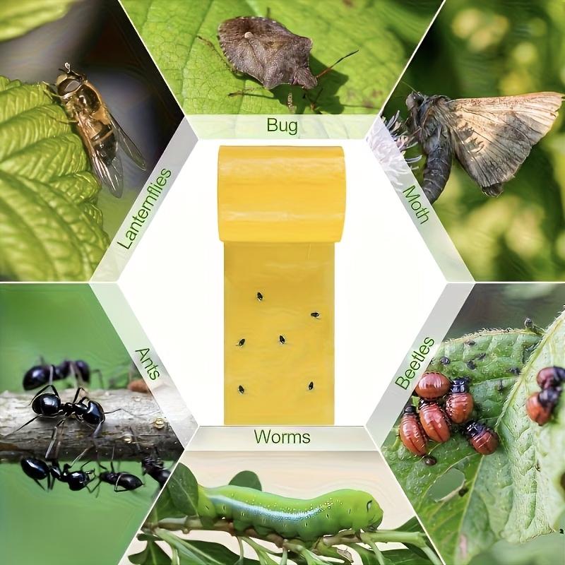 Dual-Sided Sticky Insect Barrier Tape, Outdoor Pest Control, Self-Adhesive, Prevents Whiteflies, Ants, Moths, Suitable for Trees and Gardens
