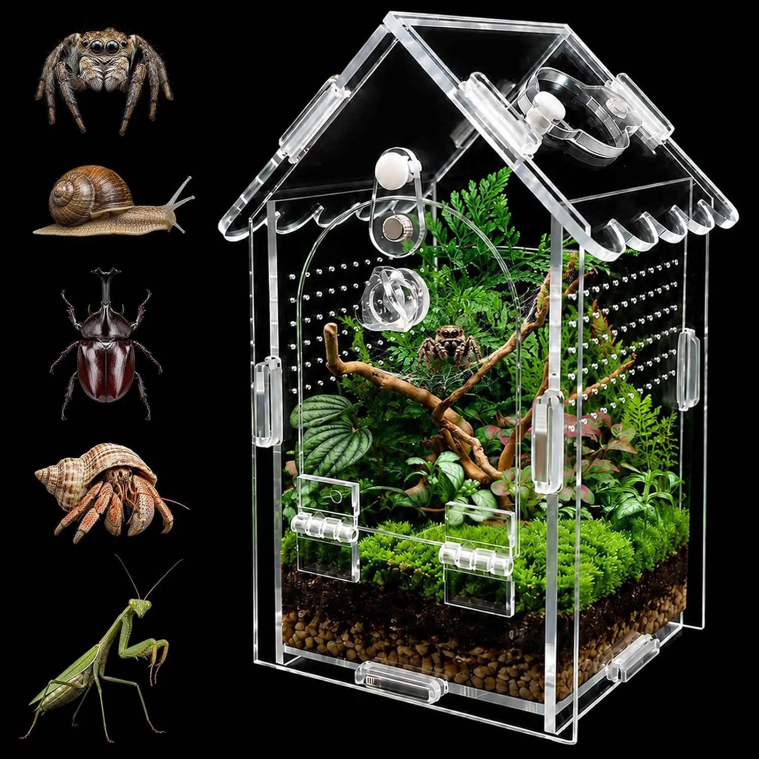 Jumping Spider Enclosure, House-Shaped  Terrarium,  Door