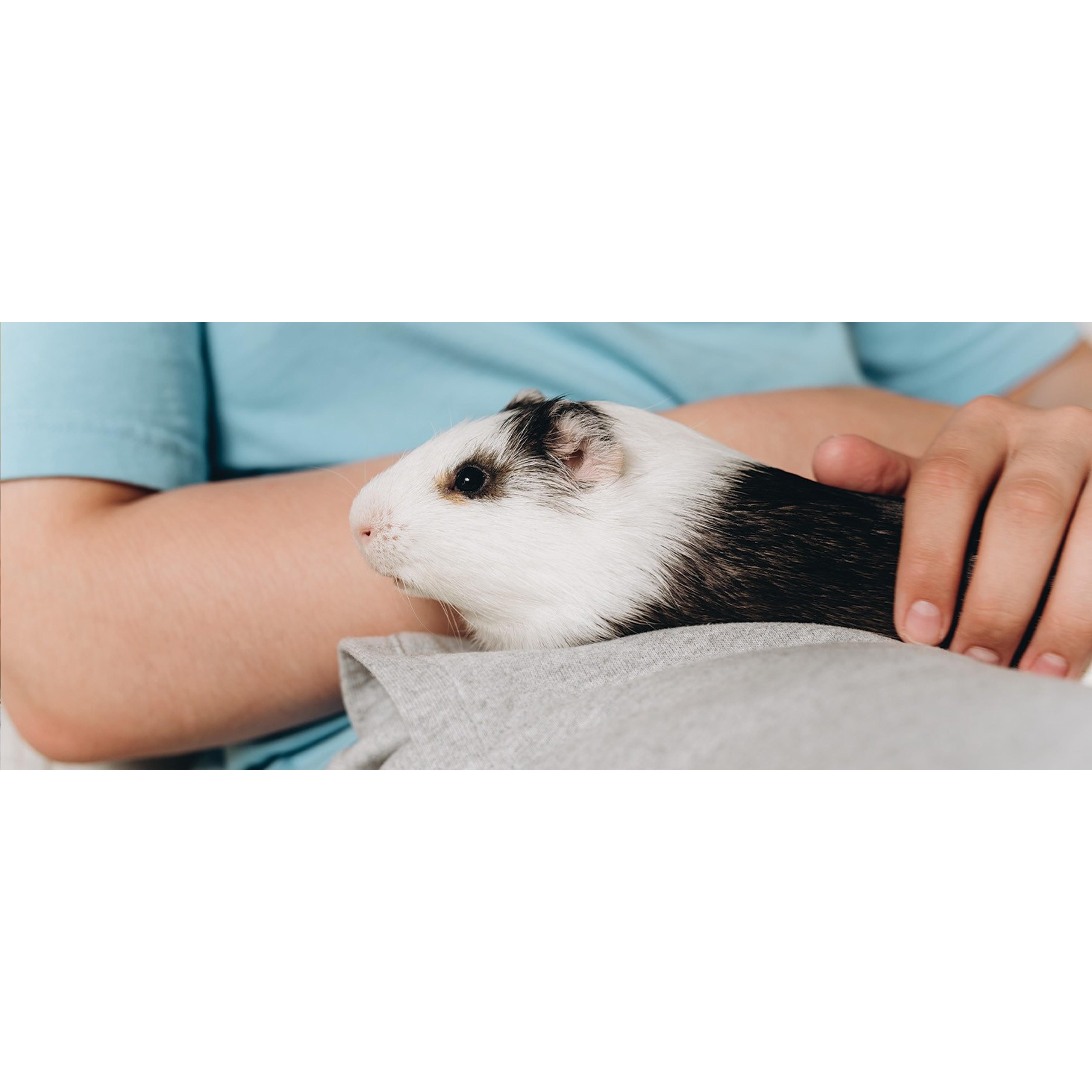 Natural Science Urinary Supplement for Rabbits & Guinea Pigs, 4.2 oz