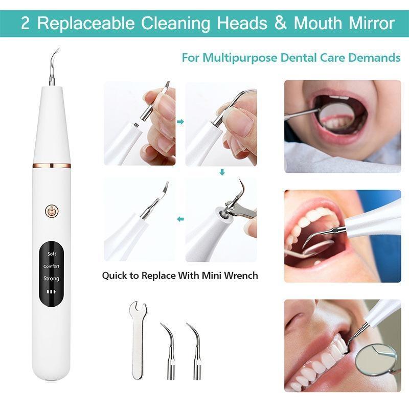 Portable Electric Tooth Cleaner, 1 Box Rechargeable Teeth Polisher with LED Light & Tooth Tools & Replacement Heads, Dental Oral Irrigator