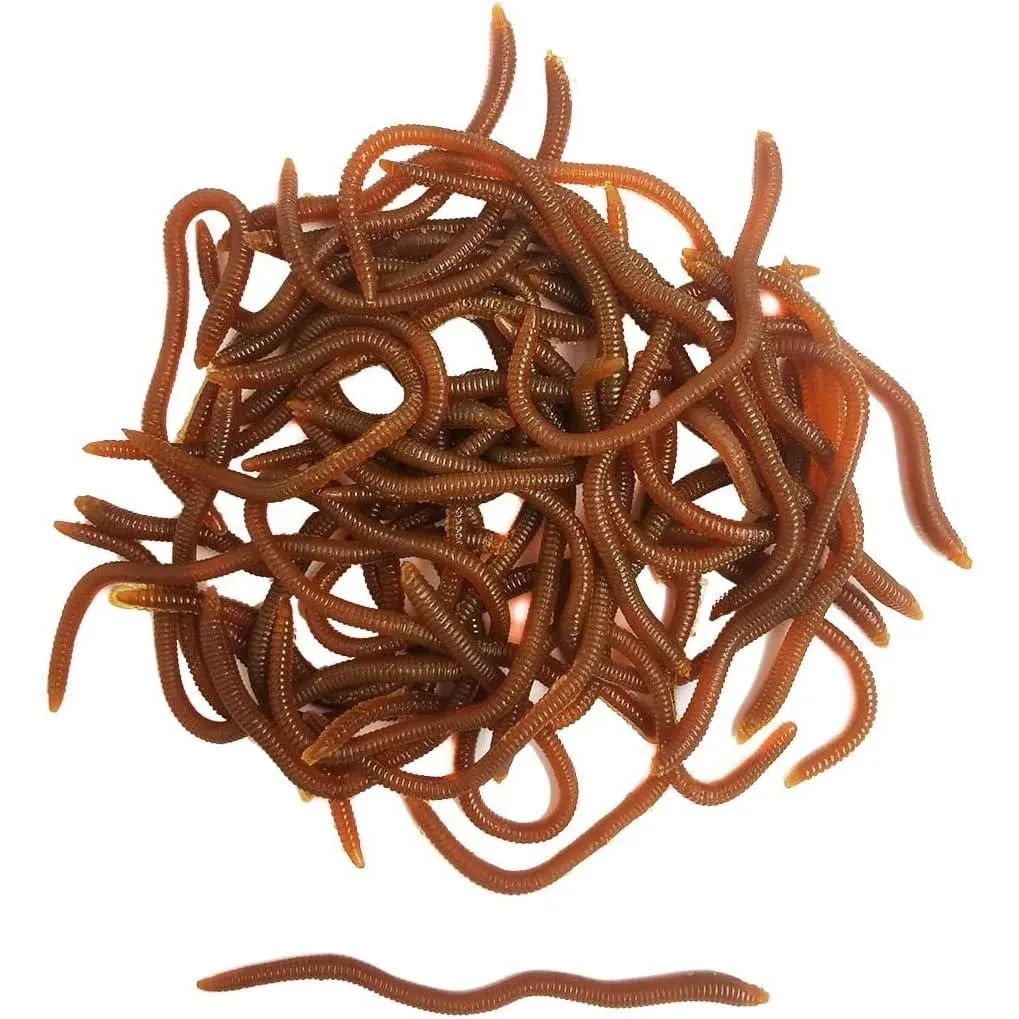 Brown (50pcs/Pack)