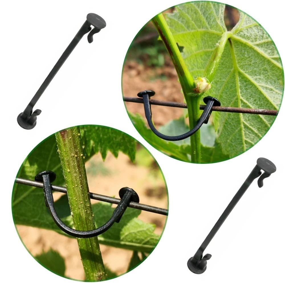 200pcs fixed clip garden gardening fixed clip plant support sapling branch fixed clip blueberry seedling hook bonsai multifunctional gardening clip grape blueberry clip kiwi fruit binding clip