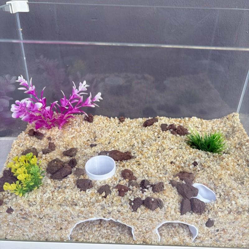 Dual Entrance Aquarium Cave for Small Fish and Shrimp, Entertaining Habitat Shelter, Aquarium Decoration Backdrop for Aquatic Life