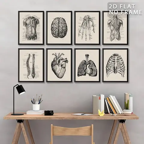 Anatomy Pattern Unframed Painting, 8 Counts/set Human Anatomy Vintage Canvas Poster, Modern Wall Art for Home Office Bar Hospital School Decoration