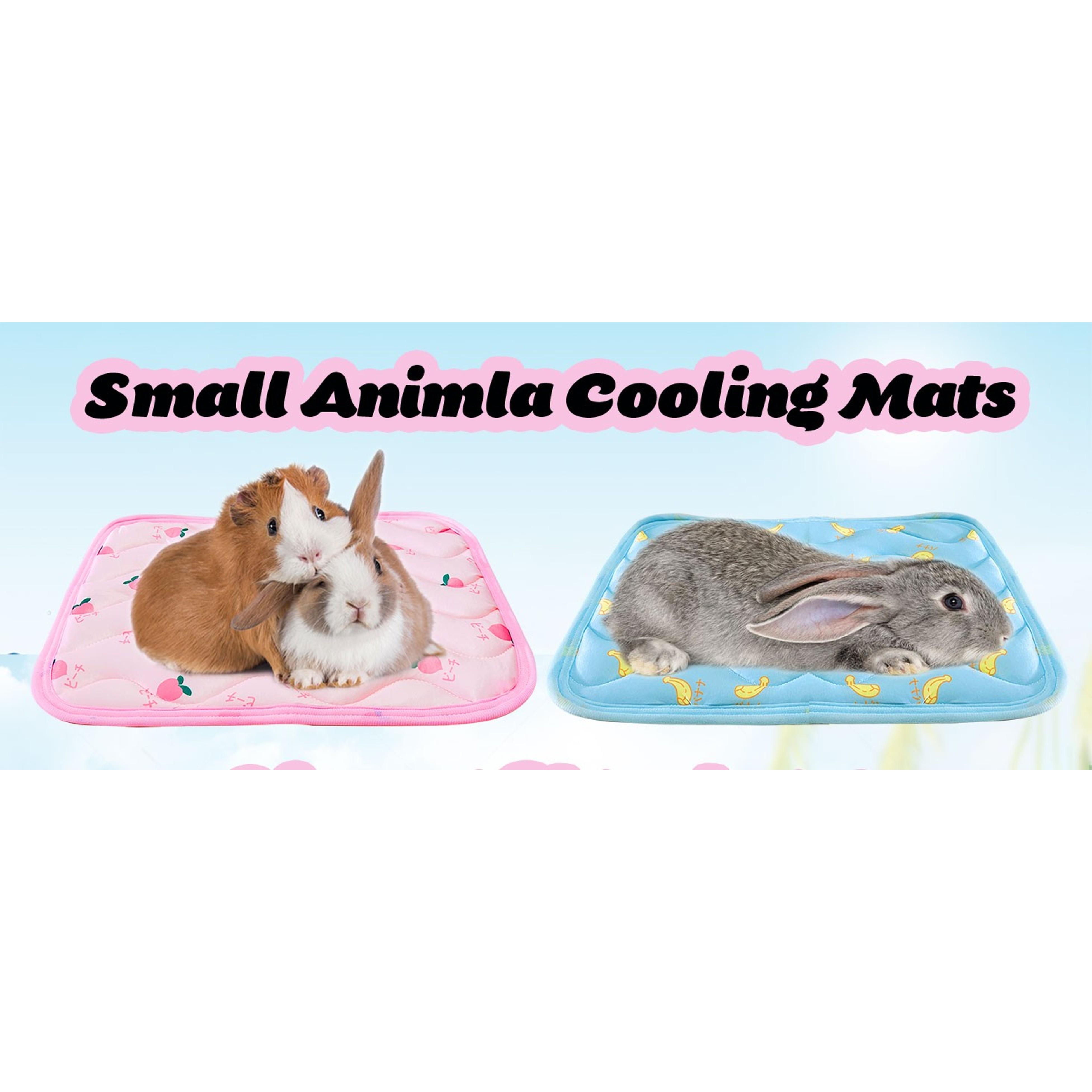 2Pcs Small Animal Cooling Mat, Breathable Guinea Pig Rabbit Cool Pad, Self-Cooling Bed Blanket for Bunny Hedgehog Hamster, Summer Hot Day, 15.8x11.8in(Gift) 2Pcs Small Animal Cooling Mat, Breathable Guinea Pig Rabbit Cool Pad, Self-Cooling Bed Blanket for Bunny Hedgehog Hamster, Summer Hot Day, 15.8x11.8in(Gift)
