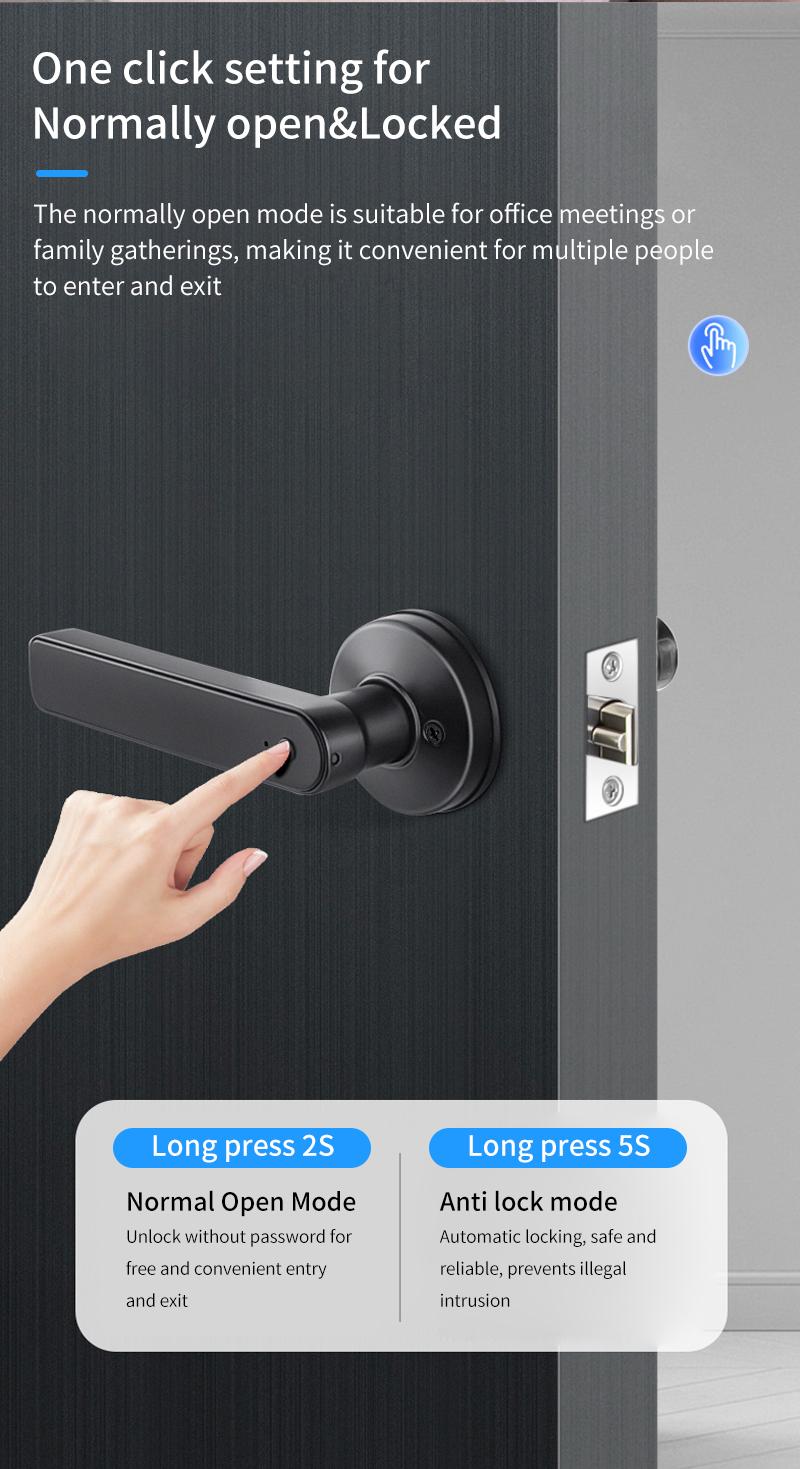 Fingerprint Smart Lock No Key Required Electric Door Lock Digital Keypad Lock for Home & Office, Easy Installation Smart Handle Lock with Advanced Security Features for Wooden Doors