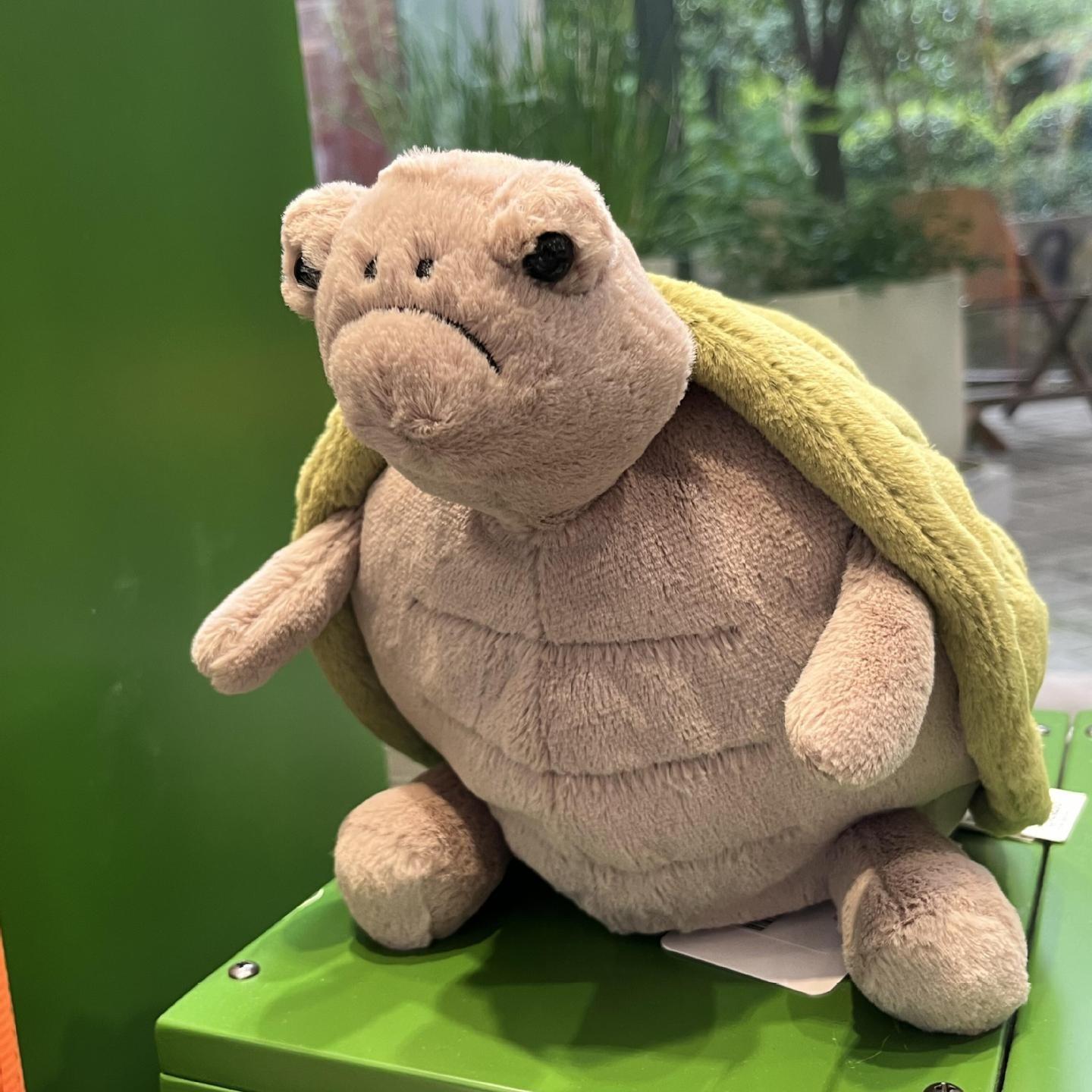 Premium Turtle Baby Doll Plush Toy, Soft and Cuddly Stuffed Animal, Perfect Gift for Kids, Christmas, Easter, Thanksgiving, Birthday Premium Turtle Baby Doll Plush Toy, Soft and Cuddly Stuffed Animal, Perfect Gift for Kids, Christmas, Easter, Thanksgiving, Birthday