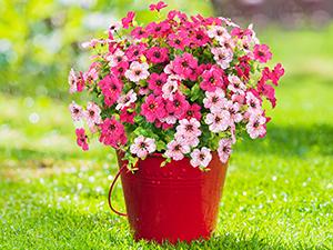 Elyum UV-Resistant Decorative Artificial Rose Red Flowers, 9 Bundles Faux Outdoor Plants for Porch Window Box Decoration