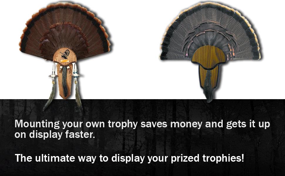 HUNTERS SPECIALTIES Strut Turkey Tail & Beard Mounting Kit - Durable Easy To Assemble Trophy Mount Kit With Hardware Included