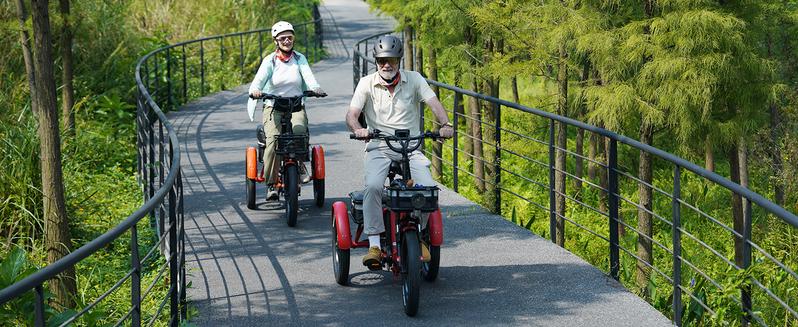 MOONCOOL TK1 Folding Electric Tricycle with Rack Bags , 750W Motor 48V Foldable Ebike Electric Trike for Adults, 20" Fat Tire 3 Wheel Electric Bicycle with Front & Rear Baskets MOONCOOL TK1 Folding Electric Tricycle with Rack Bags , 750W Motor 48V Foldable Ebike Electric Trike for Adults, 20" Fat Tire 3 Wheel Electric Bicycle with Front & Rear Baskets