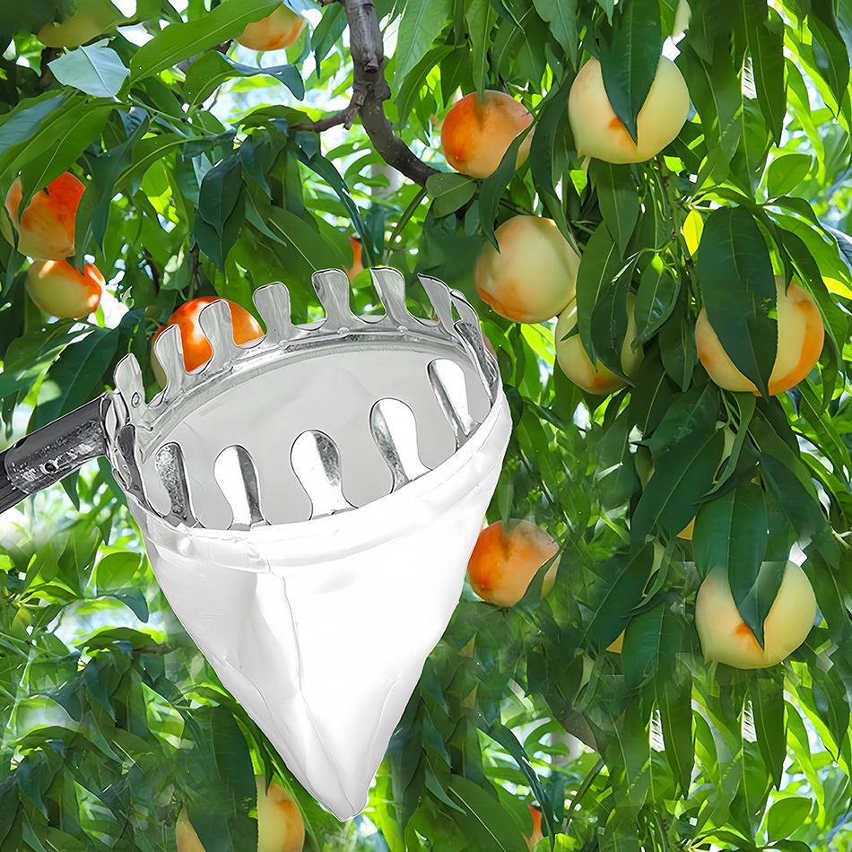 2 Meter Extendable Fruit Picker Tool, Efficient Apple & Plum Picking Device, High Reach Garden Harvesting Equipment for Gardening Needs