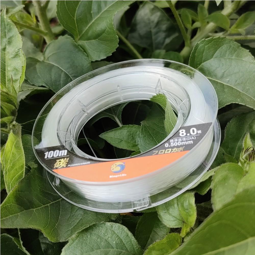 BingoLife Japanese 100% Pure Fluorocarbon Fishing Leader Line 110 yard