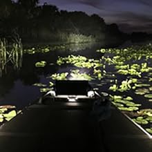 Nilight 14AWG 11.5 Feet DT Connector Wiring Harness Kit LED Light Bar 12V On Off Switch Power Relay Blade Fuse for Off Road Lights LED Work Light-2 Leads  dealsforyoudays