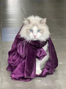 background preload poster image 