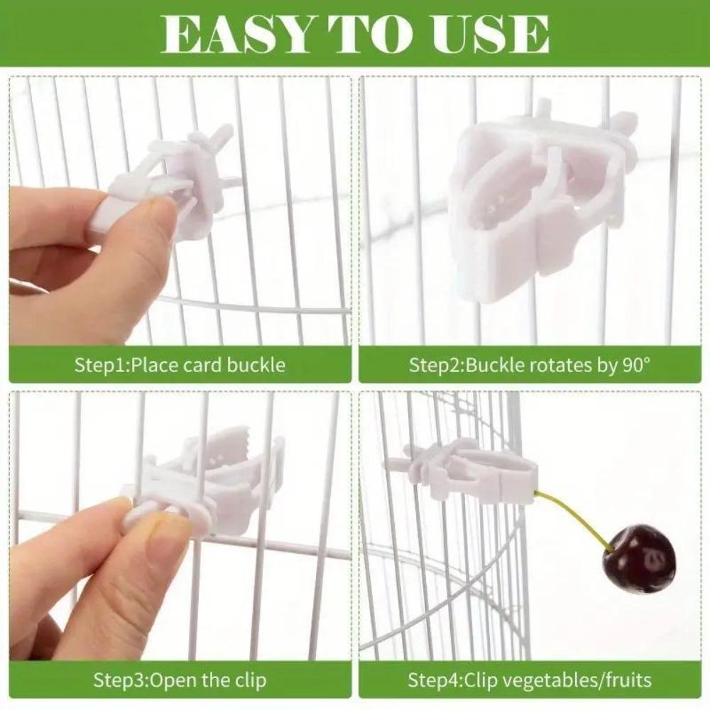 3 pcs Small Pet Bird Food Rack Parrot Fruit & Vegetable Clip Cuttlefish Bone Feeder Bird cage accessories Hanging Bird Feeder Bird Supplies