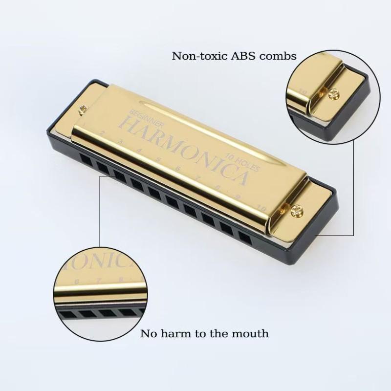 Portable Durable 10-Hole Colorful Diatonic Harmonica, C Tuned Harmonica with Case, Beginner Instrument, Perfect Gift for Friends