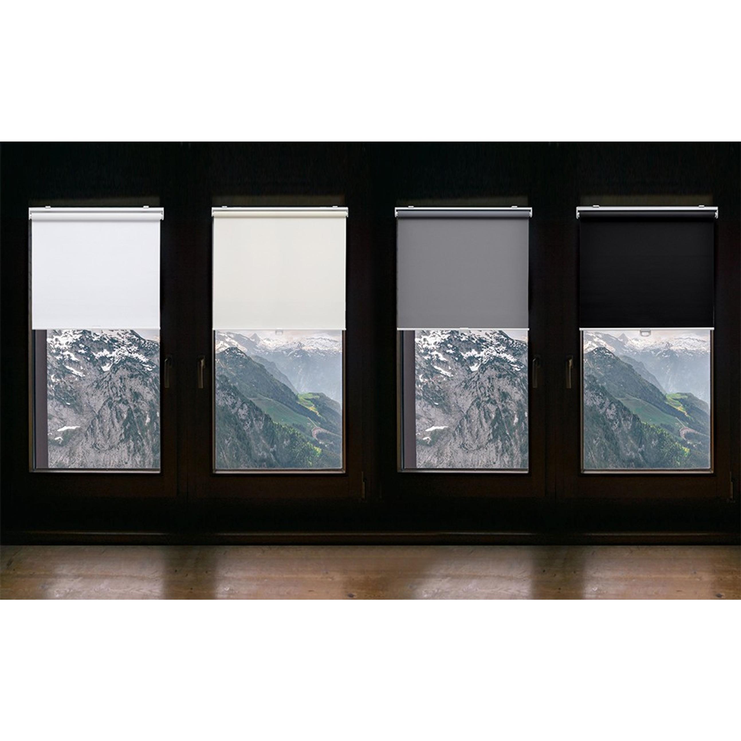 Blackout Cordless Roller Shades Blinds,23" W x 72" H,White | Blackout Fabric UV Thermal Insulated,Spring System For Windows Door,Pull Down Room Darkening,Easy to Install for Home,Office