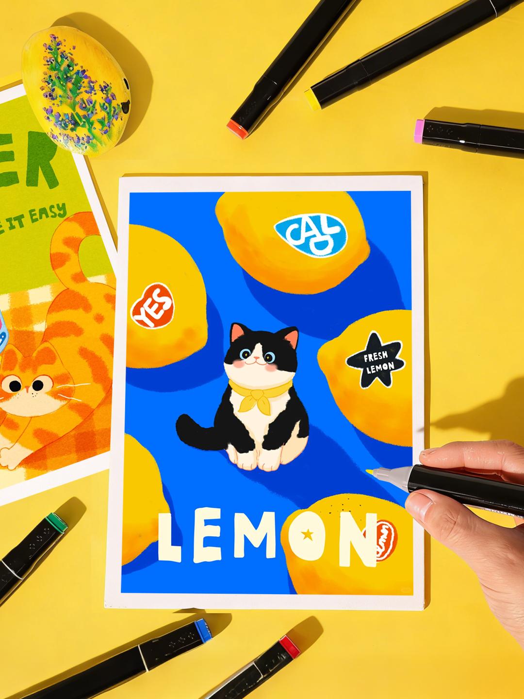 WINSONS 12/24/36/60/120/240 Colors Dual Tip Alcohol Markers Set for Airbrush Marker Replacement