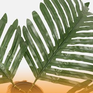 Cute Design Cat Tree Tower for Indoor Cats with Interactive Dangling Balls, Jungle Paradise Design, Scratching Post & Tropical Decor