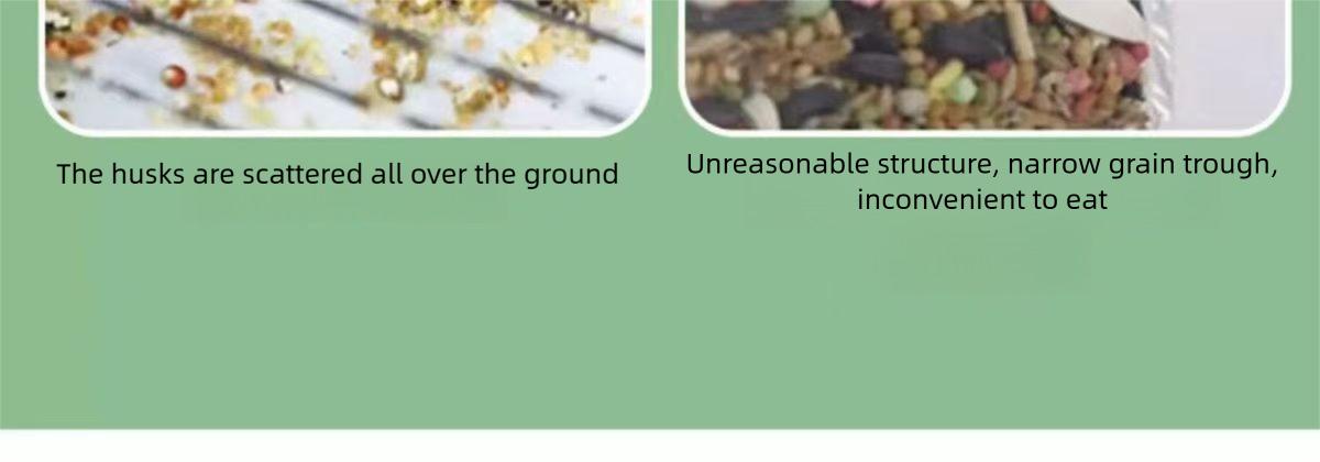 New Model Automatic Bird Feeder - Spill-Proof, Splash-Proof, and Transparent Dispenser for Cockatiels, Budgies, and Lovebirds