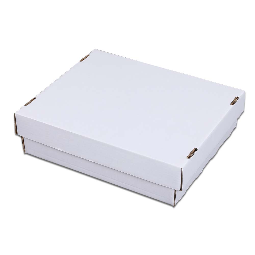 3200 COUNT CORRUGATED CARDBOARD TRADING CARD BASEBALL COIN SLAB STORAGE BOX 4ROW