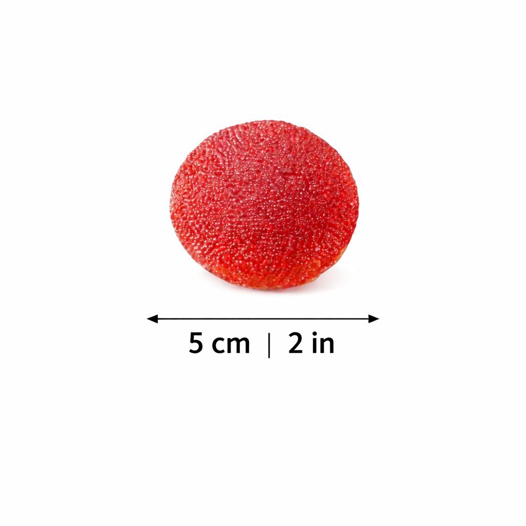 Stress Relief Simulation Lychee Toys, Realistic Design, Perfect Gift for Stress Reduction & Relaxation, Ideal for Home Use, Stress Relief Model