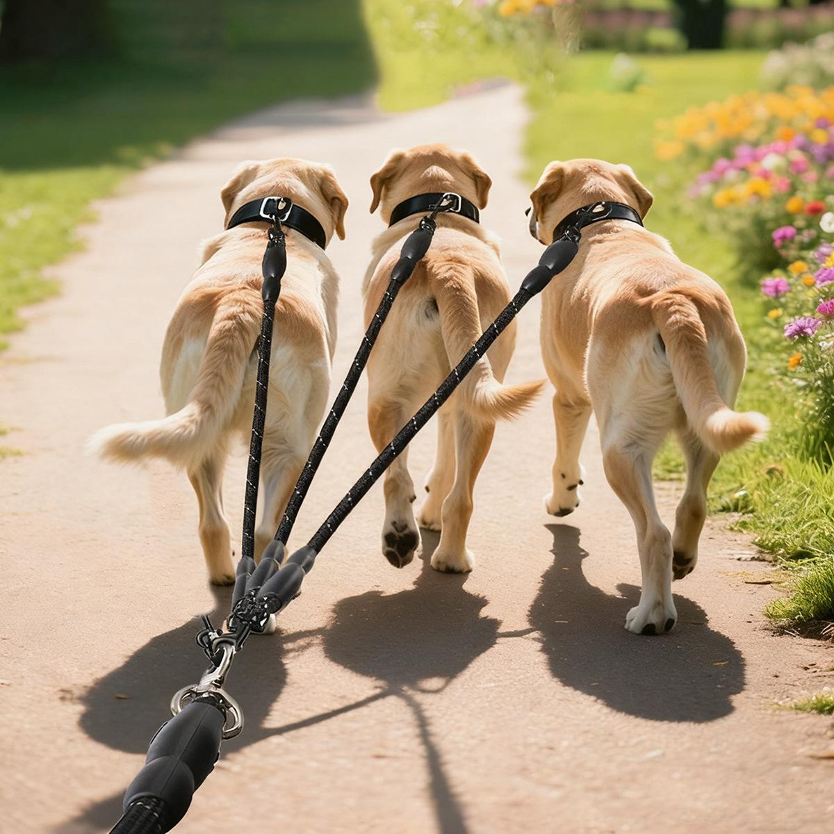 Outdoor Dog Leash, One Drag Three, Reflective Safety, Comfortable Handle, Durable Pet Walking Lead, Ideal for Daily Use & Training