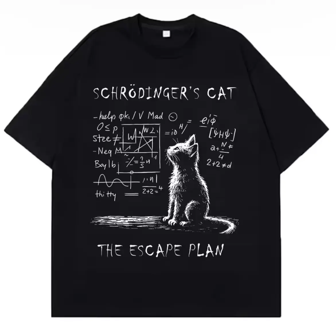 Unisex Schrodinger's Cat The Escape Plan Graphic Tee, 100% Cotton Short Sleeve Vintage T Shirts Oversized Tshirt, Physics Equation Print Casual Street T-Shirt For Back To School Student Daily Wear & Science Lover Gifts,Birthday Gifts For Him