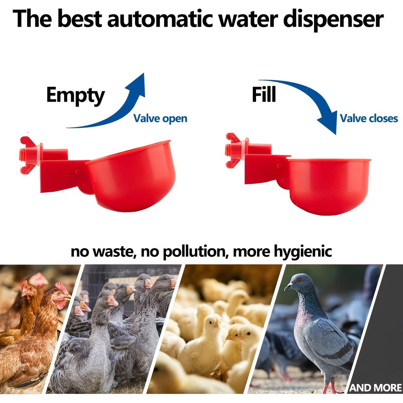 Automatic Chicken Water Cups Set, 12/24/36 Pieces, Poultry Feeder and Drinking Machine, Suitable for Chickens Ducks Quails