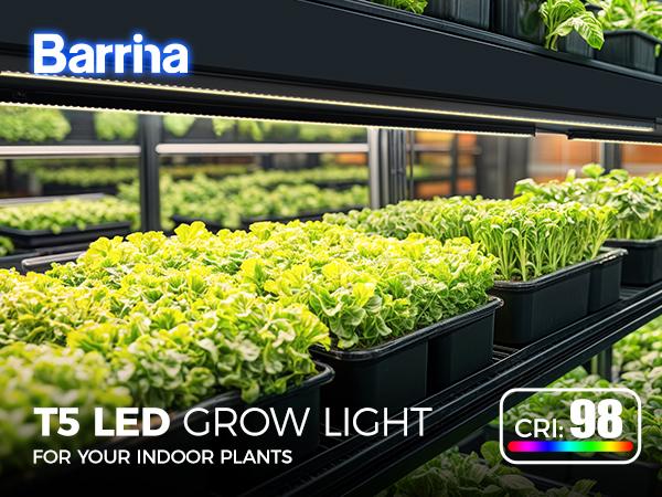 Barrina T5 Grow Lights with Black Cover, 4FT 160W (8 X 20W) with Magnetic Design, Full Spectrum, Plug and Play, Linkable, Yellow, 8 Packs