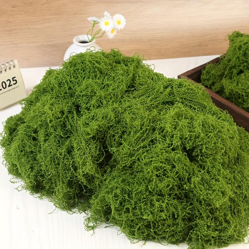 Preserved Sheet Moss, Natural Green Decorative Moss for Plant Walls, Terrariums, Home Decor & Crafts, Long-Lasting No-Water Artificial Moss