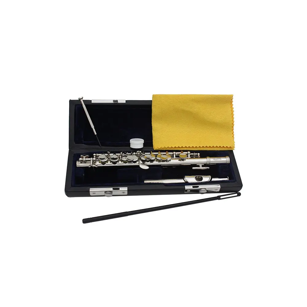 Slade Ldp568-S C Flute, Silver Color Brass Body, Complete Musical Instrument Set with Case, Ideal for Amateur Musicians and Bands