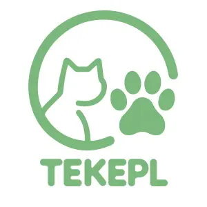 background preload poster image 