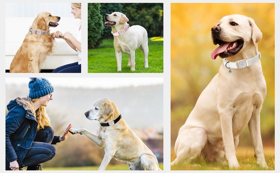 DOGWONG Airtag Dog Collar, Heavy-Duty Cotton Hemp Collar with Airtag Holder – Soft, Durable & Adjustable Pet Necklace for Small, Medium, Large Dogs