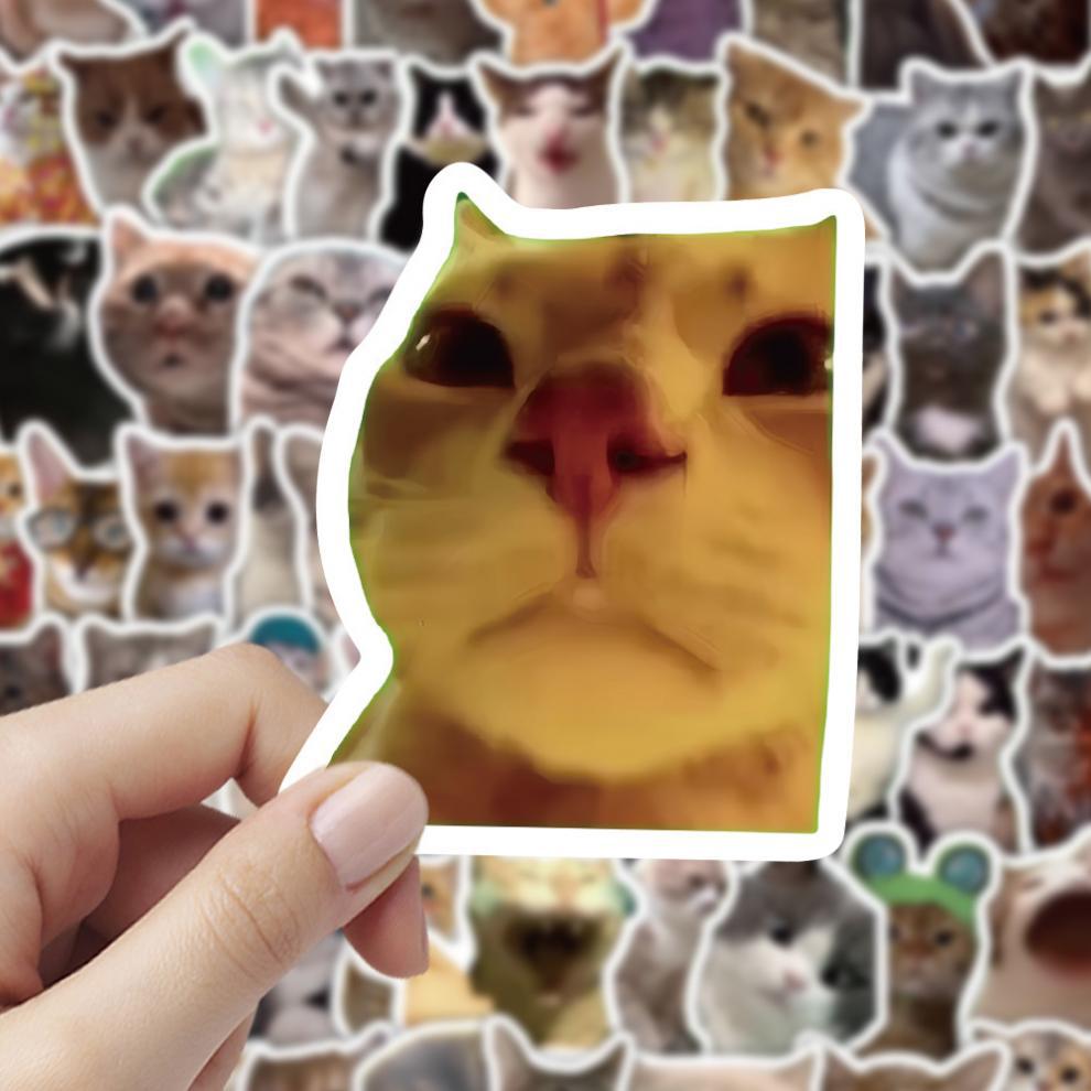 300 cat meme stickers, cute and funny quirky cat Instagram-style emoji and meme images