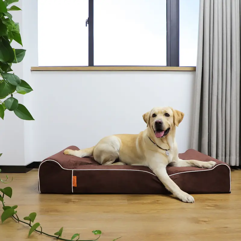 Product Introduction of Laifug Orthopedic Memory Foam Extra Large Dog Bed with double Pillow (50"x36"x10") Durable Water Proof Liner & Removable Washable Cover & Smart Design 30