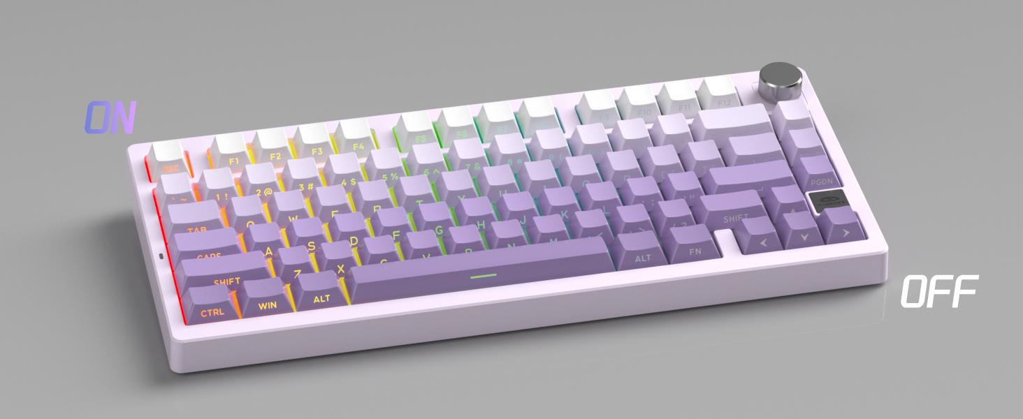 MageGee LIGHT75 Wireless Creamy Keyboard, Gasket Structure Hot Swappable, 75% Compact 2.4G/USB-C/BT5.0 RGB Backlit Gaming Keyboard for Win/Mac/PC, Side Printed PBT Keycaps, 4000mAh Battery, Purple