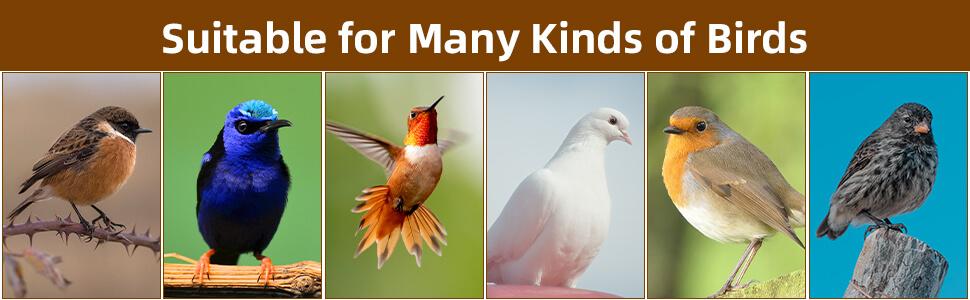 Sukh Bird Nesting Material - Bird Nests Bedding Hummingbird Nesting Material Mixing Canary Nesting Material Finch Nesting Material Parakeet Nesting Materials for Cage,Gardens,Tree Trunks (2)