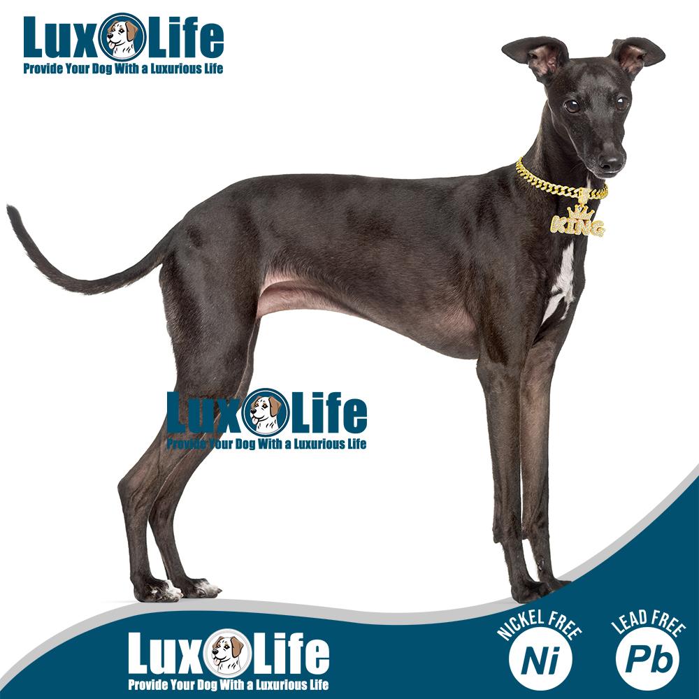 Gold Dog Chain Collar Necklace with diamond pendant "KING" letter Wearing a crown,Diamond Cuban Link Dog Collar 13mm Wide Dog Necklace Metal Cat Chain Pet Crystal Collar Jewelry Accessories for Small Medium Large Dogs Cats